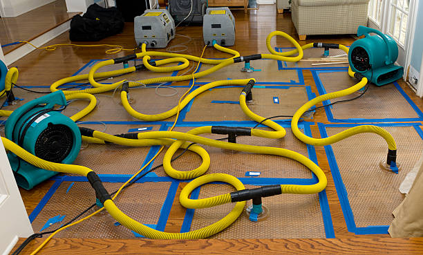 Professional Basement Flood Cleanup technician working in Kaleva, MI